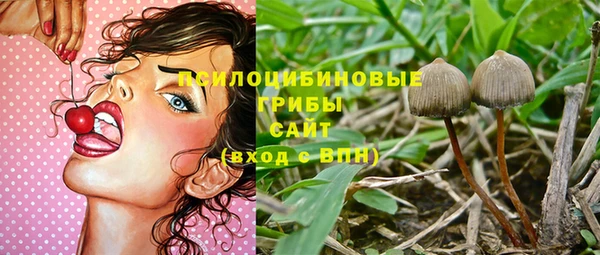 бутират Белокуриха