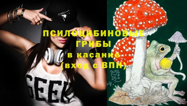 ешки Белоозёрский
