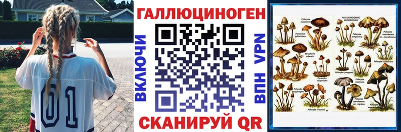 Купить  Чудово  Псилоцибиновые грибы GOLDEN TEACHER 